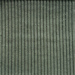 Marco - Grüne Samtstoffprobe